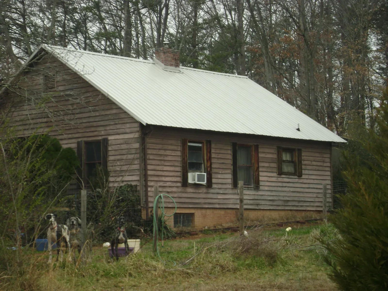 White metal roof on an old wood sided farmhouse, from a Asphalt Shingle Roof Repair job in Oviedo